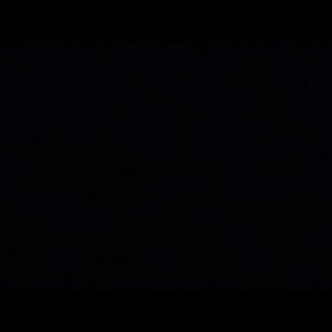 Meet your Posher, Scotty